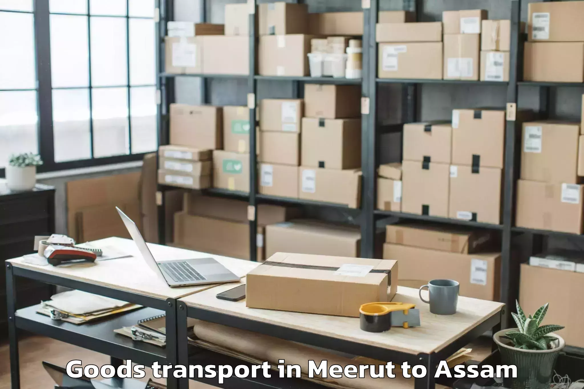 Meerut to Palasbari Goods Transport Booking